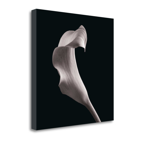 Lilies 3 Wrapped Canvas Print Wall Art