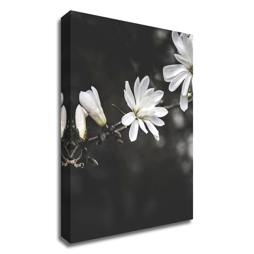 White Flowers Wrapped Canvas Print Wall Art