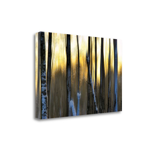 The Forest At Dawn 3 Wrapped Canvas Print Living Room Wall Art