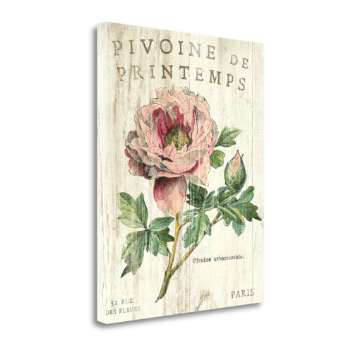 Pivoine De Printemps 2 Wrapped Canvas Print Living Room Wall Art