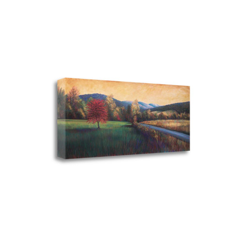 Near Salem 2 Wrapped Canvas Print Wall Art