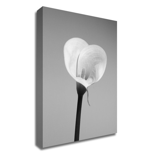 "Calla No. 2" Wrapped Canvas Print Wall Art