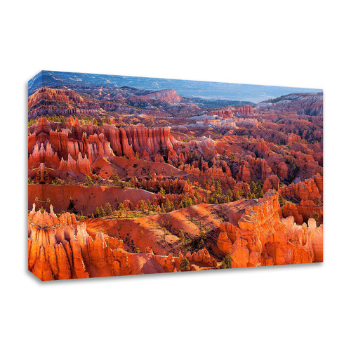 Morning Light Wrapped Canvas Print Wall Art