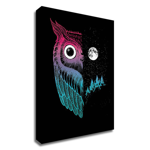 "Night Owl" Wrapped Canvas Print Wall Art