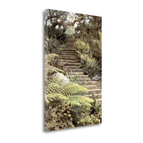 Secret Steps 1 Wrapped Canvas Print Wall Art
