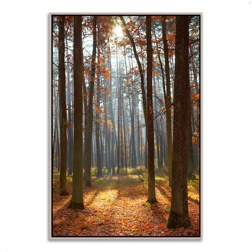 Autumn Forest 10 Silver Wrapped Canvas Print Wall Art