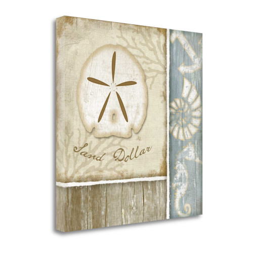 Sand Dollar 1 Wrapped Canvas Print Living Room Wall Art