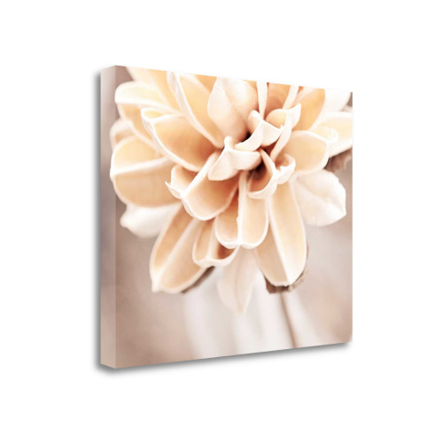Touched By An Angel 3 Wrapped Canvas Print Wall Art