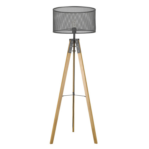 Capprice 1-Light Matte Black Floor Lamp