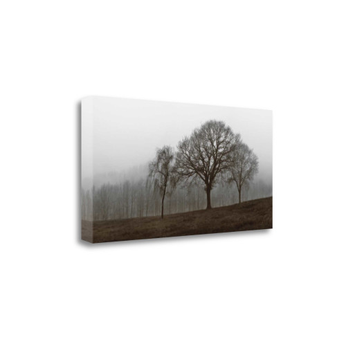 Autumn Fog 1 Wrapped Canvas Print Living Room Wall Art