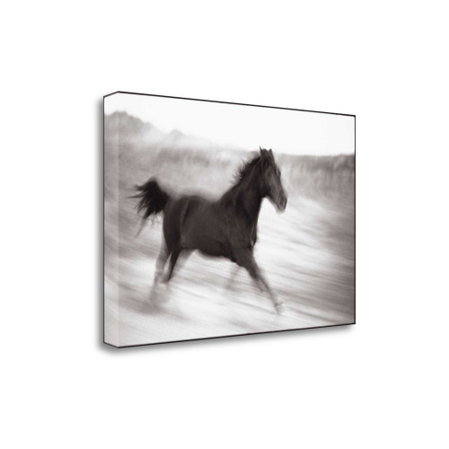 Americana 16 Wrapped Canvas Print Wall Art