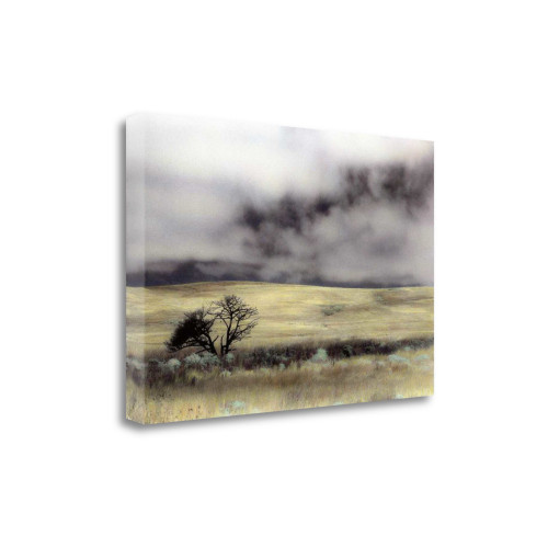 Limantour Marsh 2 Wrapped Canvas Print Living Room Wall Art