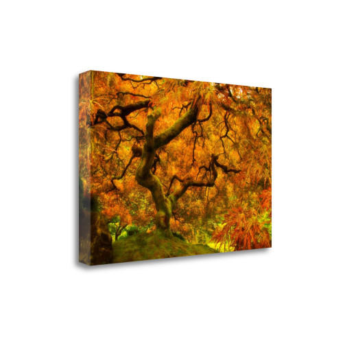 Wild Fire 3 Wrapped Canvas Print Living Room Wall Art