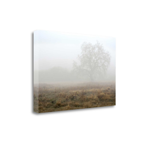Oak Tree 28 Wrapped Canvas Print Living Room Wall Art