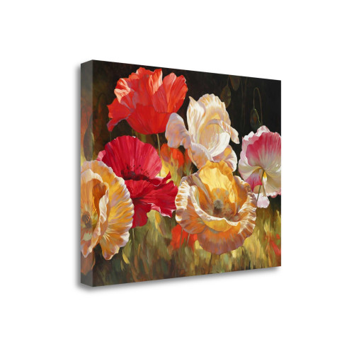Poppy Celebration 3 Wrapped Canvas Print Wall Art
