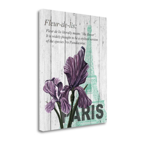 Paris Iris 2 Wrapped Canvas Print Wall Art
