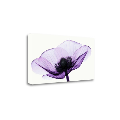 Anemone II Wrapped Canvas Print Living Room Wall Art