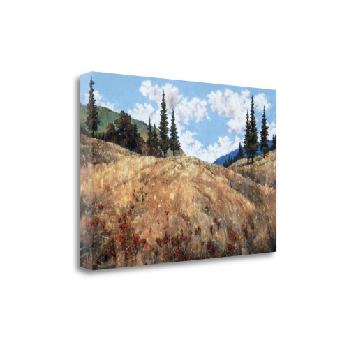 Beyond The Hill 3 Wrapped Canvas Print Living Room Wall Art