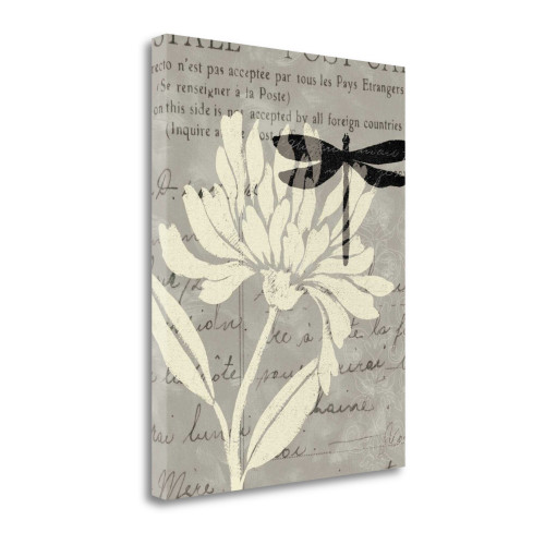 Natural Prints II Wrapped Canvas Print Living Room Wall Art