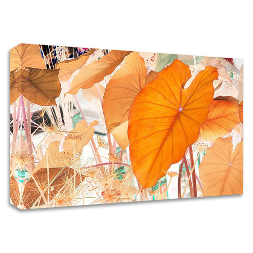 "Elephant Ears" Wrapped Canvas Print Wall Art