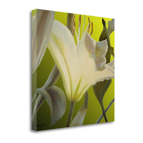 Lily Green 3 Wrapped Canvas Print Living Room Wall Art