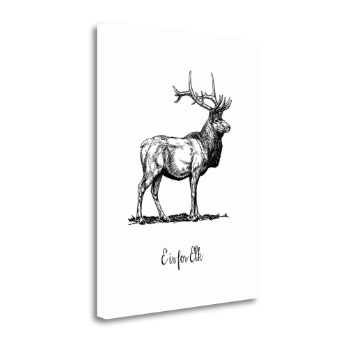 E Is For Elk 1 Wrapped Canvas Print Living Room Wall Art