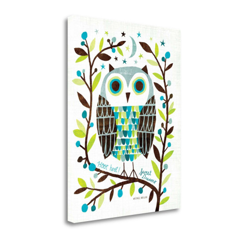 Night Owl I Wrapped Canvas Print Living Room Wall Art