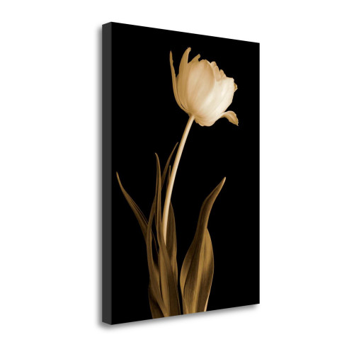 Classic Beauty 5 Wrapped Canvas Print Wall Art