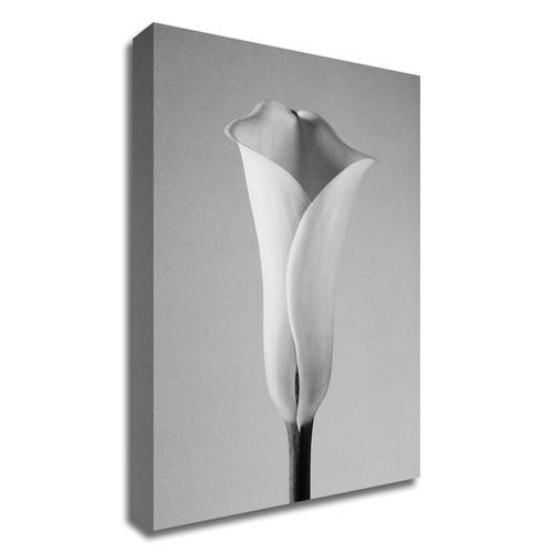 "Calla No. 1" Wrapped Canvas Print Wall Art