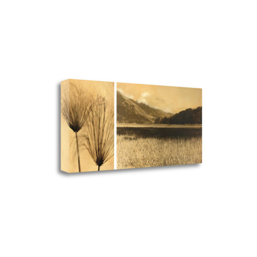 40" Nature Photography Sepia Tone Gallery Wrap Canvas Wall Art