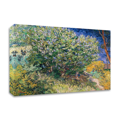 Lilac Bush Wrapped Canvas Print Wall Art