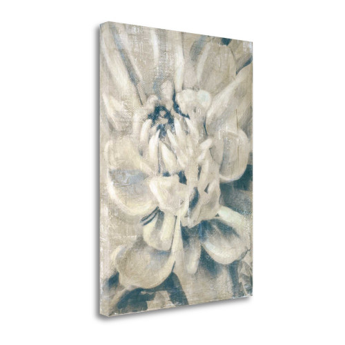 Glam Ii Wrapped Canvas Print Wall Art