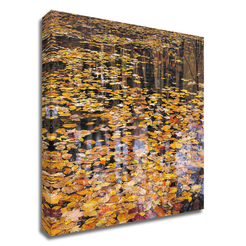 Autumn Detail Wrapped Canvas Print Wall Art