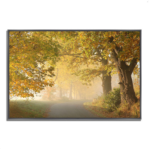 On A Misty Autumn Morning 8 Black Wrapped Canvas Print Wall Art