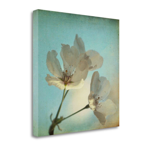 Spring Sings 1 Wrapped Canvas Print Living Room Wall Art