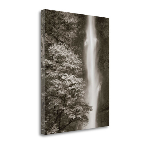 Multnomah Falls 1 Wrapped Canvas Print Living Room Wall Art
