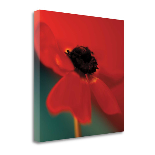 Red On Turquoise Wrapped Canvas Print Wall Art