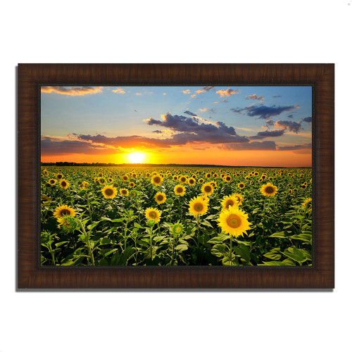 Sunflower Sunset 11 Brown Picture Frame Print Wall Art
