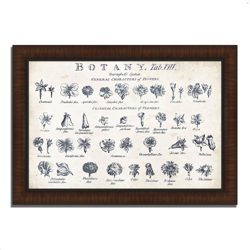 Botany Tab Viii Indigo And White Brown Picture Frame Print Wall Art