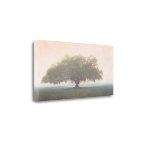Oak In The Fog 1 Wrapped Canvas Print Living Room Wall Art