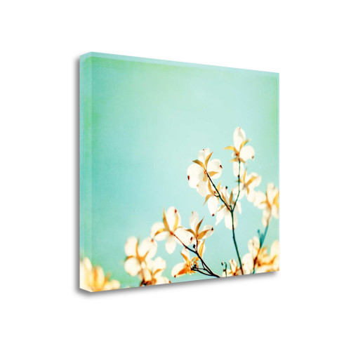 Blossoms Adrift 3 Wrapped Canvas Print Wall Art