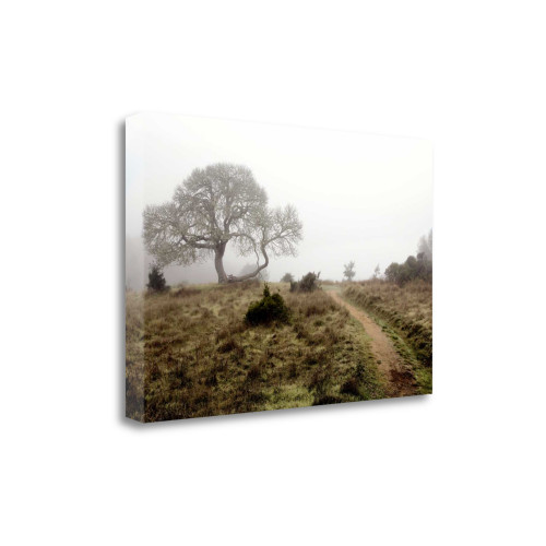 Oak Tree 25 Wrapped Canvas Print Living Room Wall Art