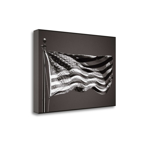 Americana 14 Wrapped Canvas Print Wall Art