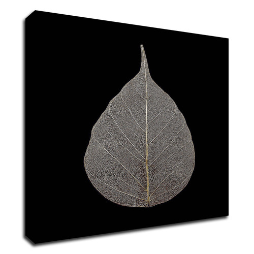 "Brown Leaf" Wrapped Canvas Print Wall Art