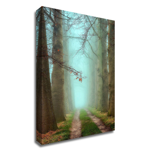 "Blue Mist" Wrapped Canvas Print Wall Art
