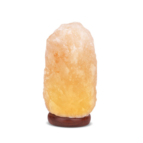 6" Brown Solid Wood Standard USB Table Lamp