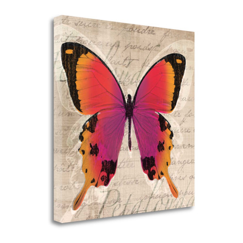 Butterflies Iii Wrapped Canvas Print Wall Art