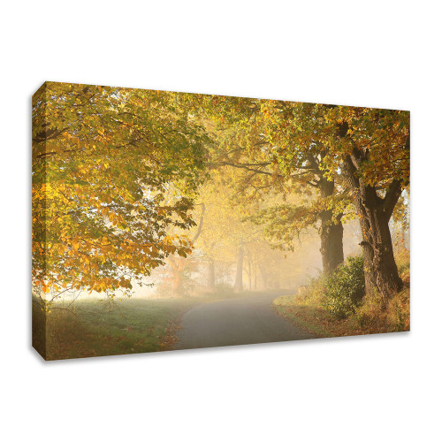 On A Misty Autumn Morning 3 Wrapped Canvas Print Wall Art