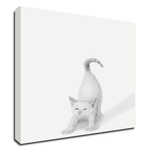 "Bonjour!" Wrapped Canvas Print Wall Art