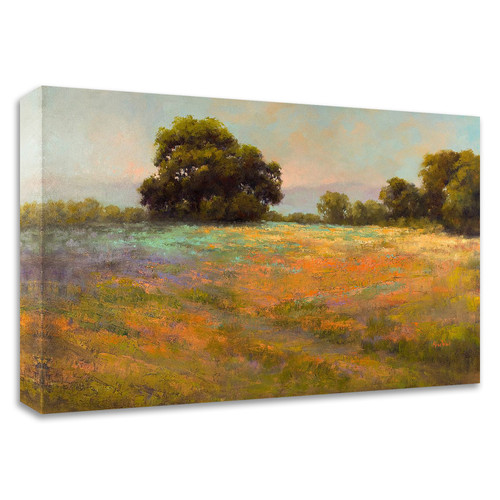 "Spring Meadow" Wrapped Canvas Print Wall Art